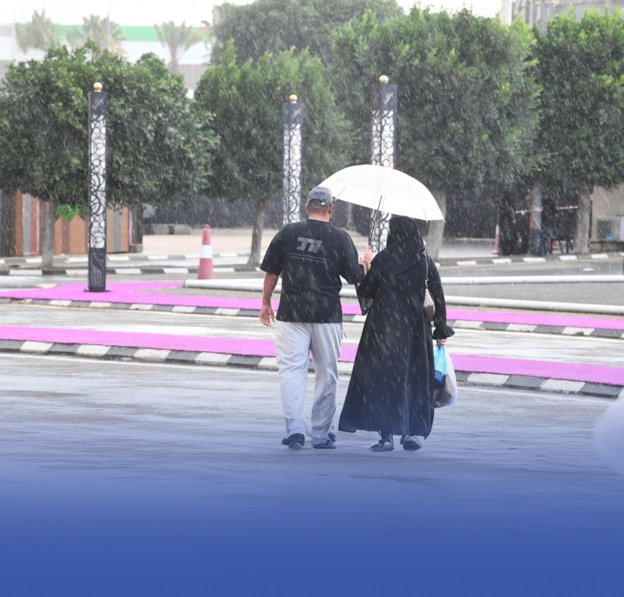 أمطار على مناطق المملكة تبدأ من الجمعة المقبلة