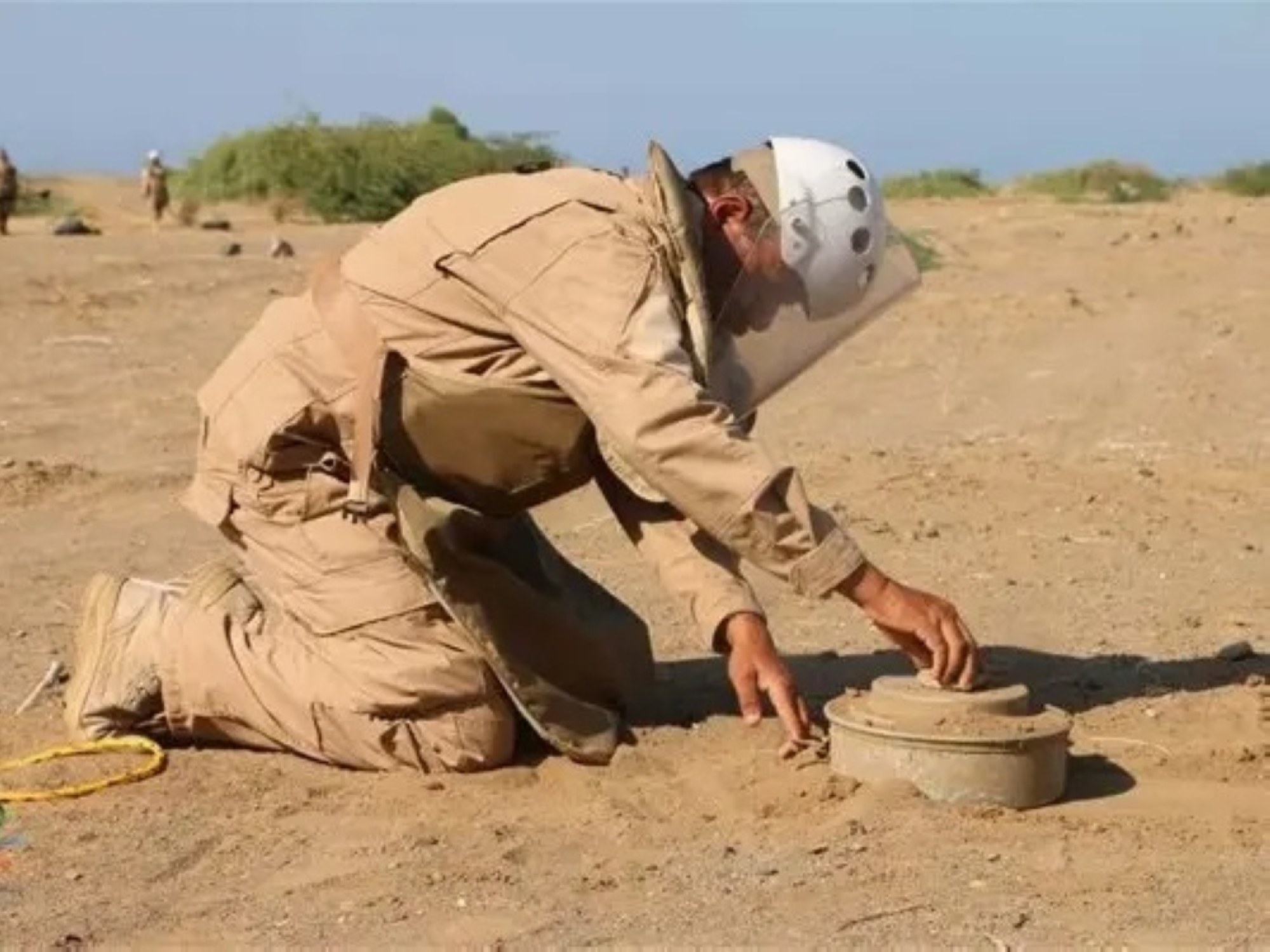 "مسام" ينزع 736 لغمًا من الأراضي اليمنية في أسبوع