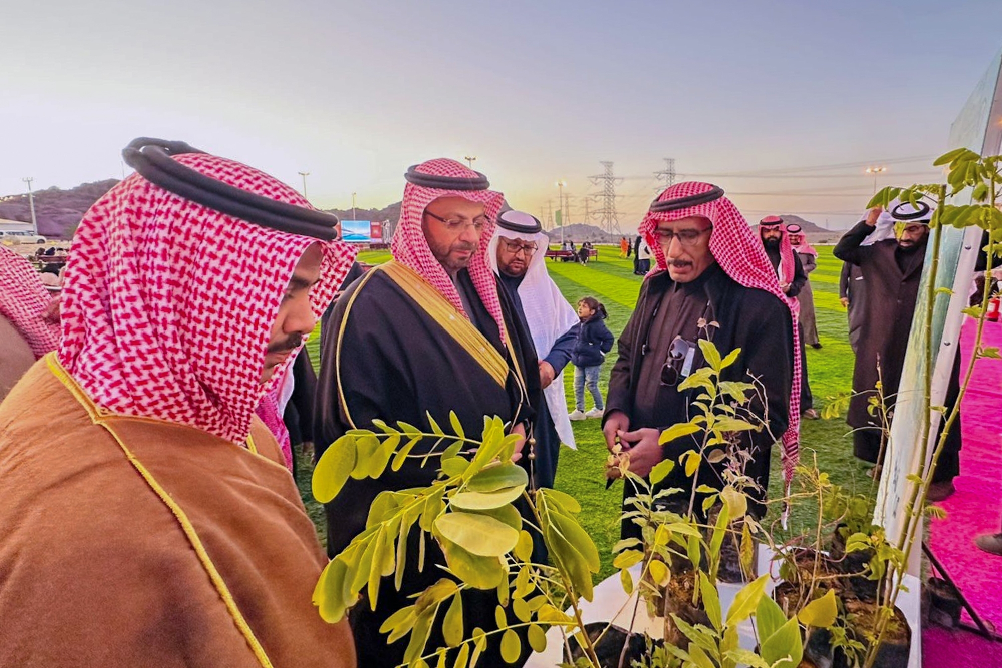شتاء السليل.. فعاليات متنوعة تلبي متطلبات الأسر