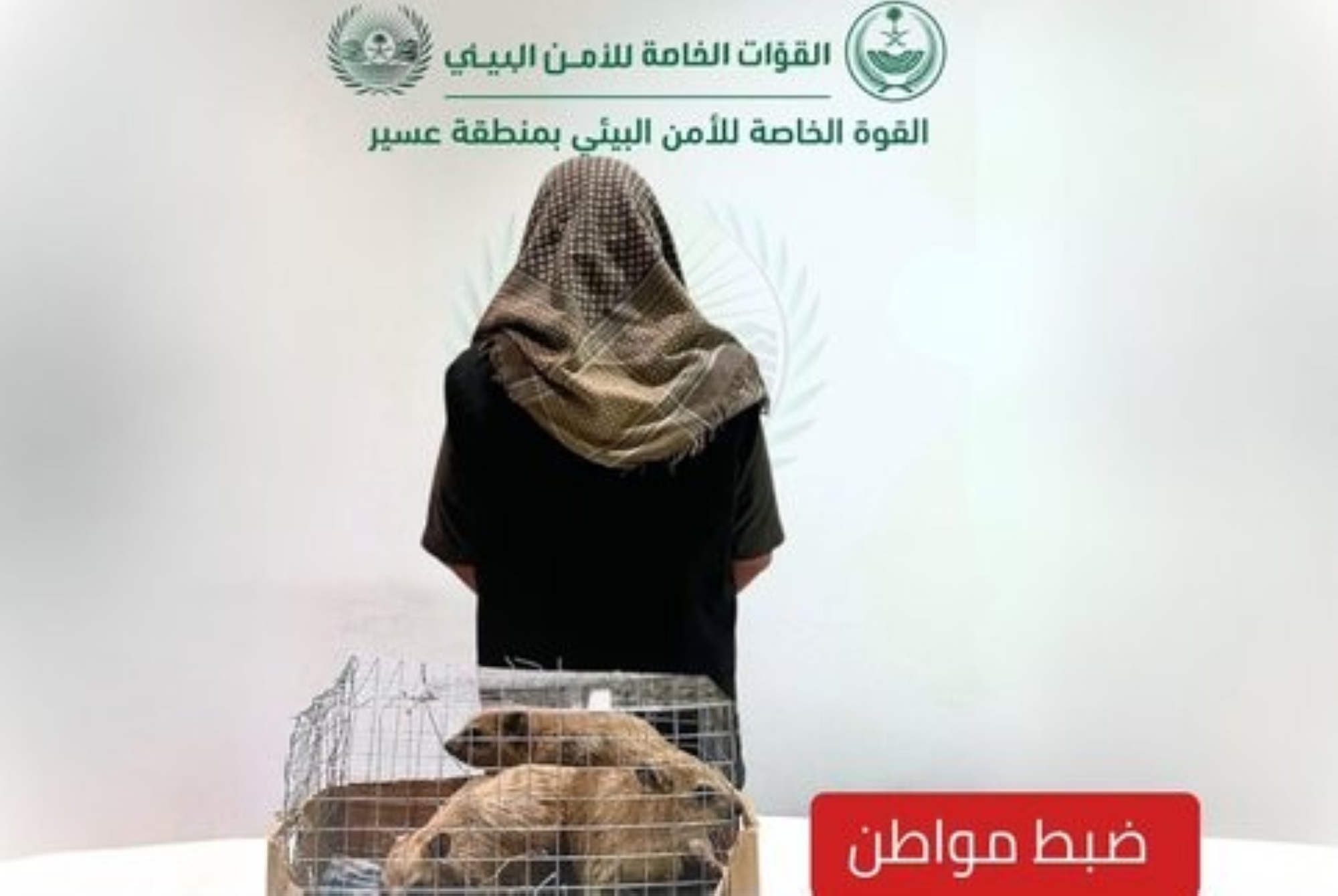 ضبط مواطن عرض كائنات فطرية دون ترخيص للبيع
