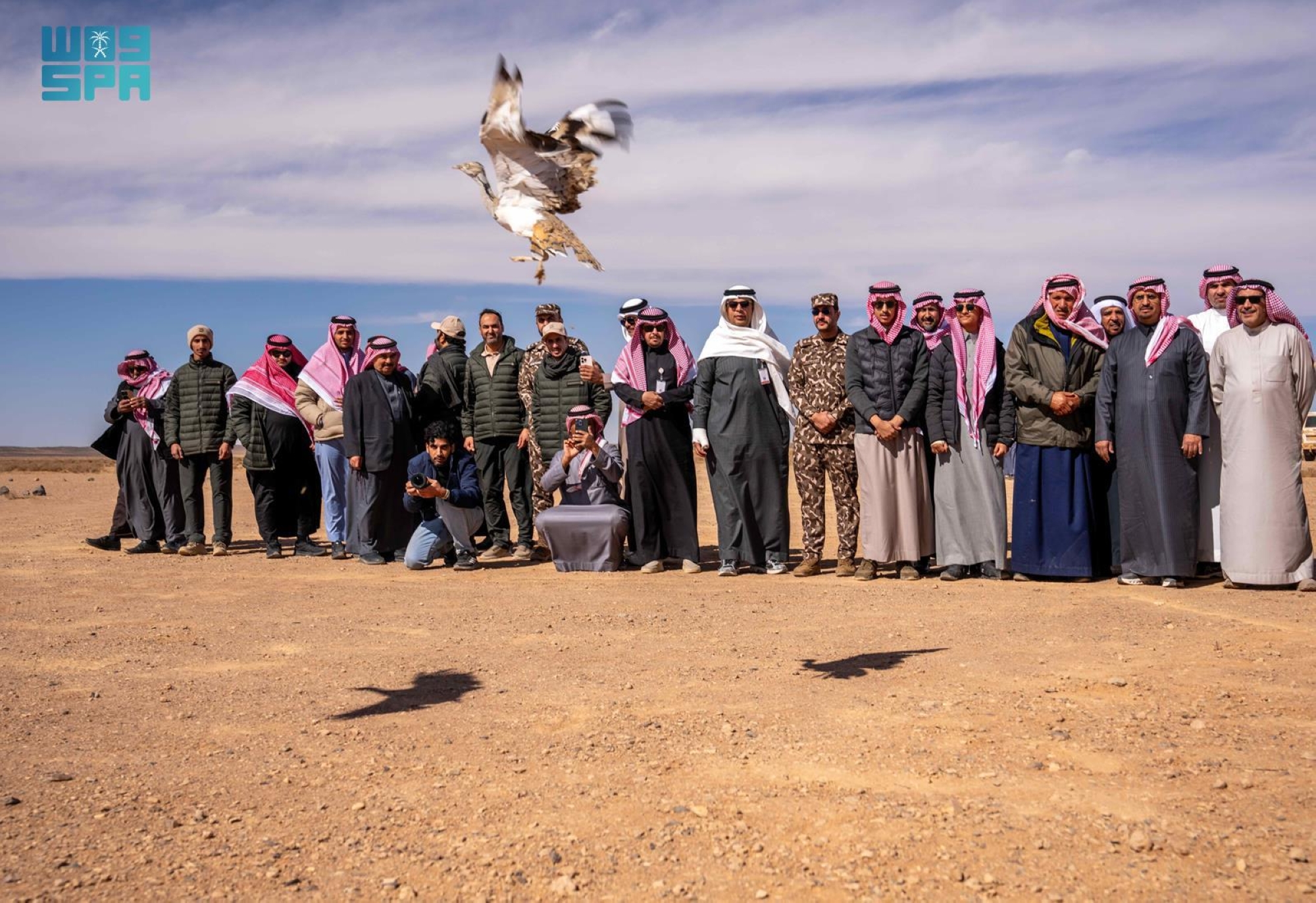إطلاق 140 كائنًا فطريًا بمحمية الملك سلمان