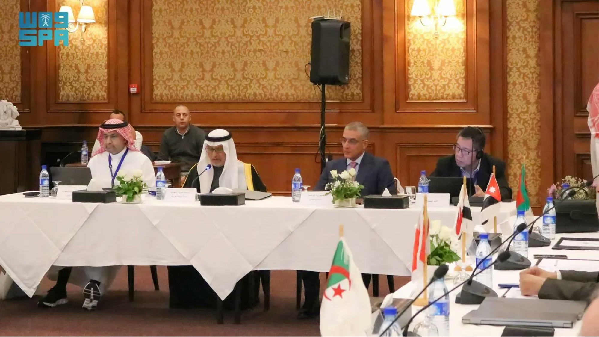المملكة تستعرض تقدمها في قياس النضج الجيومكاني باجتماع أممي