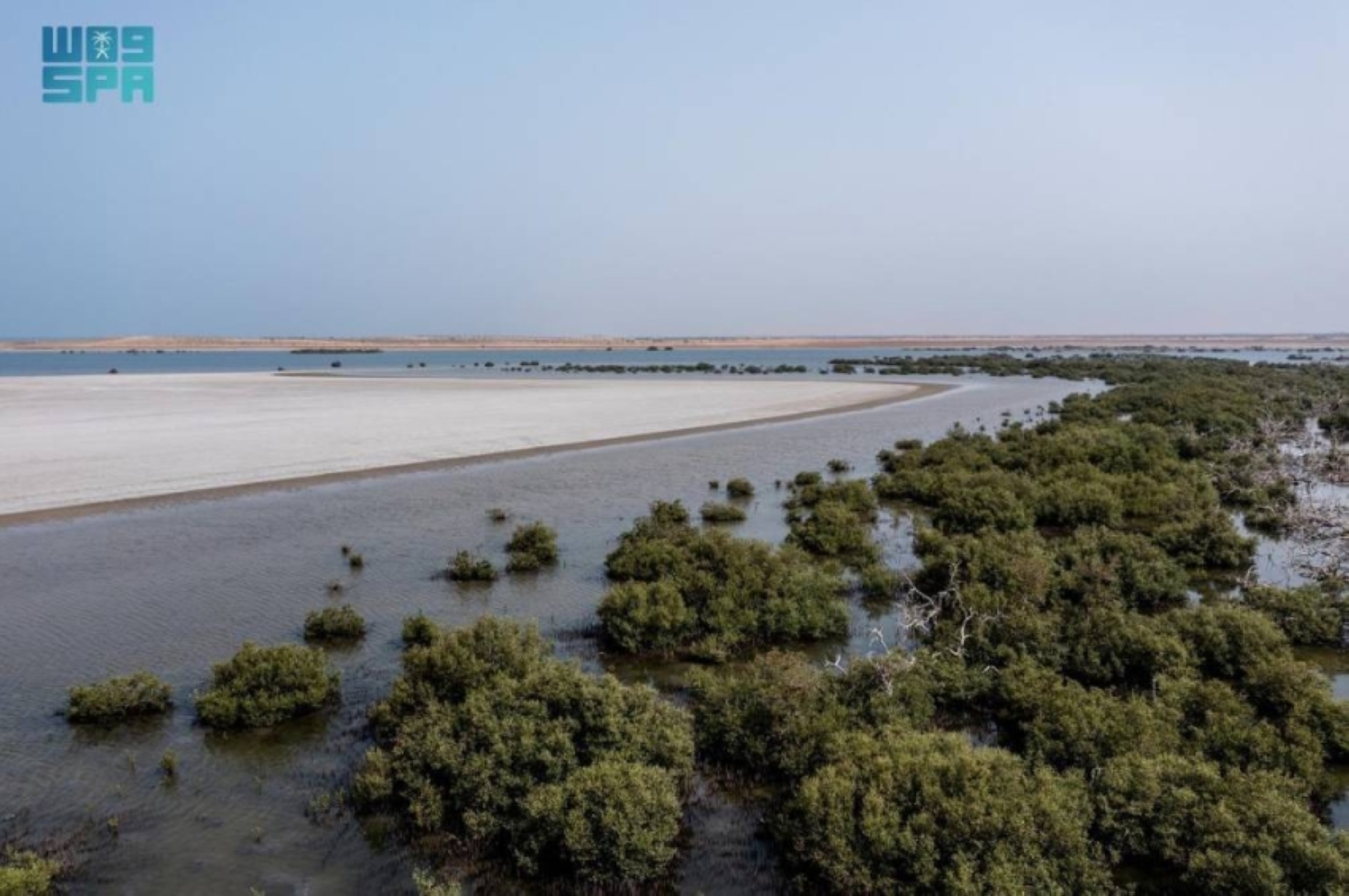 الأراضي الرطبة والمانجروف.. كنوز طبيعية ومصدر حياة مستدامة