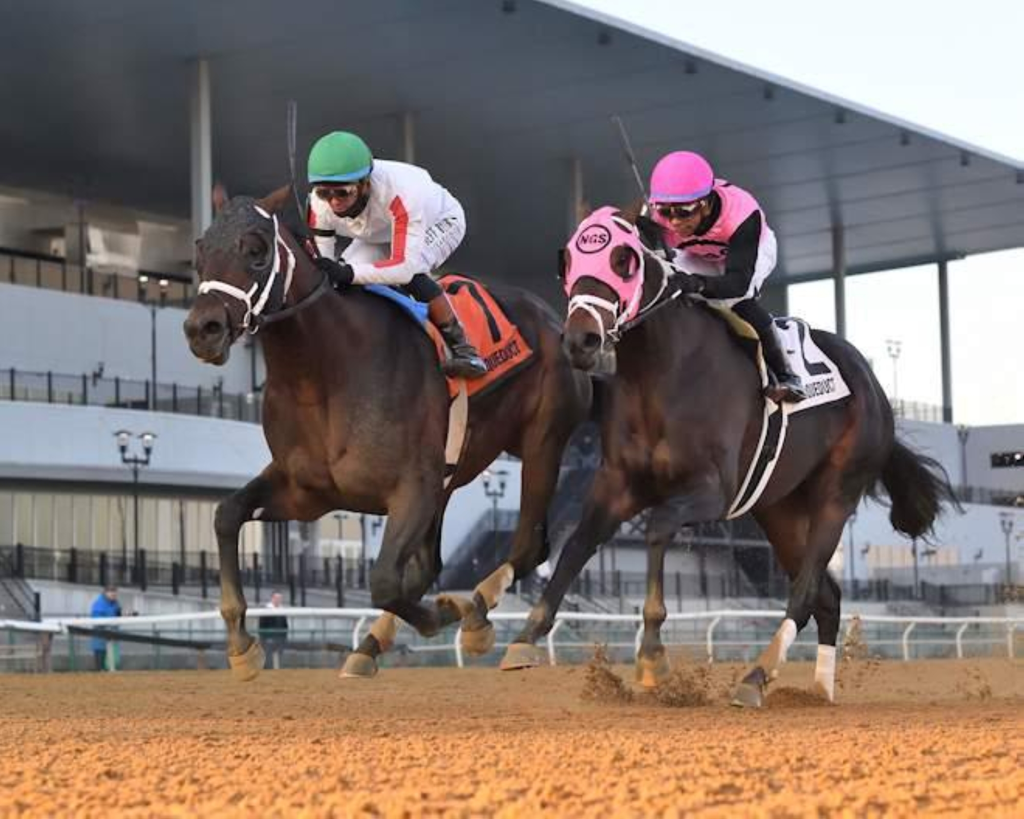 كوكس يراهن على البطل "بيشوبس باي" في رابع مشاركة له بكأس السعودية