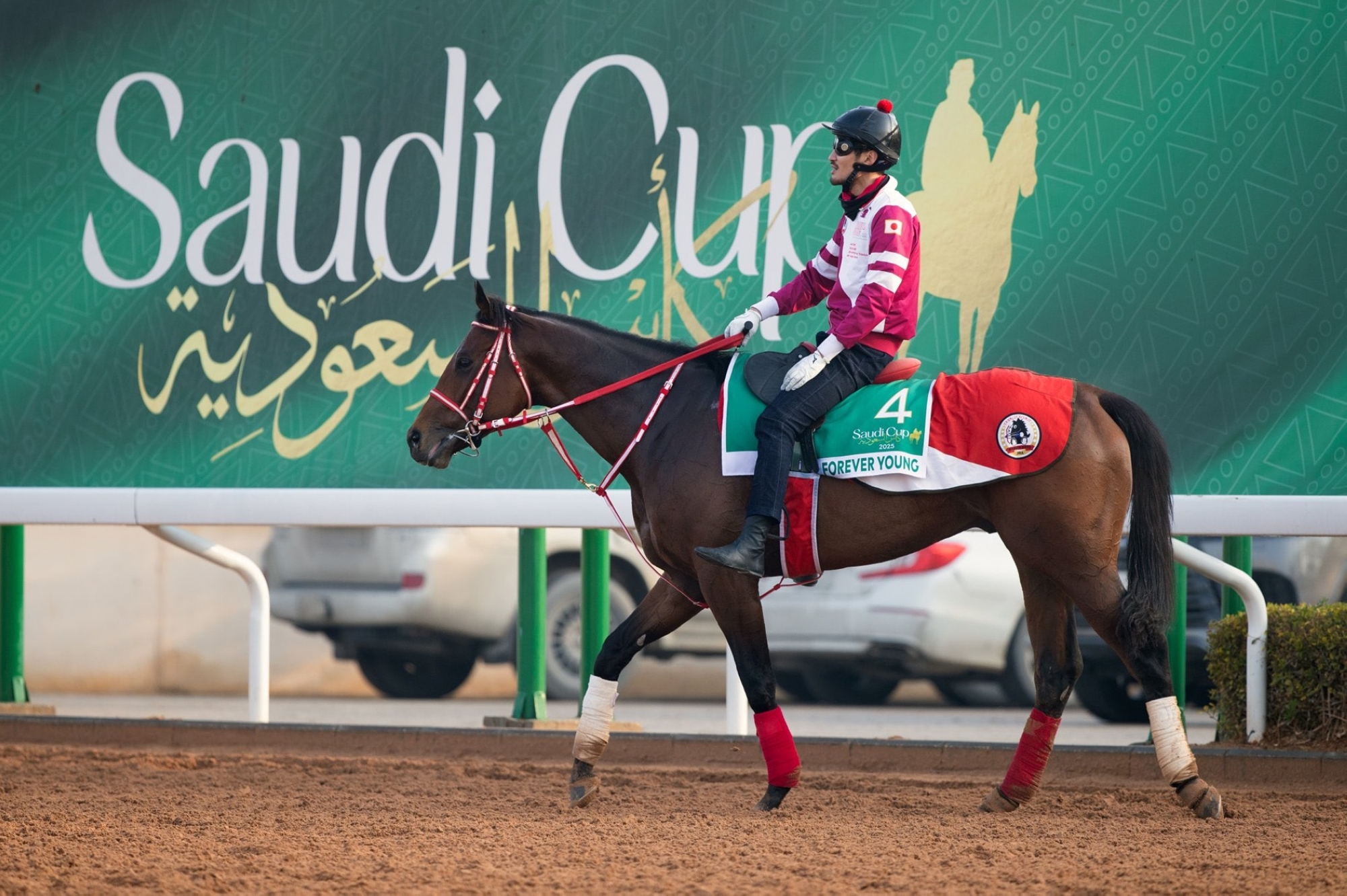 "فوريفر يونق" يعود إلى الرياض للدفاع عن لقب كأس السعودية