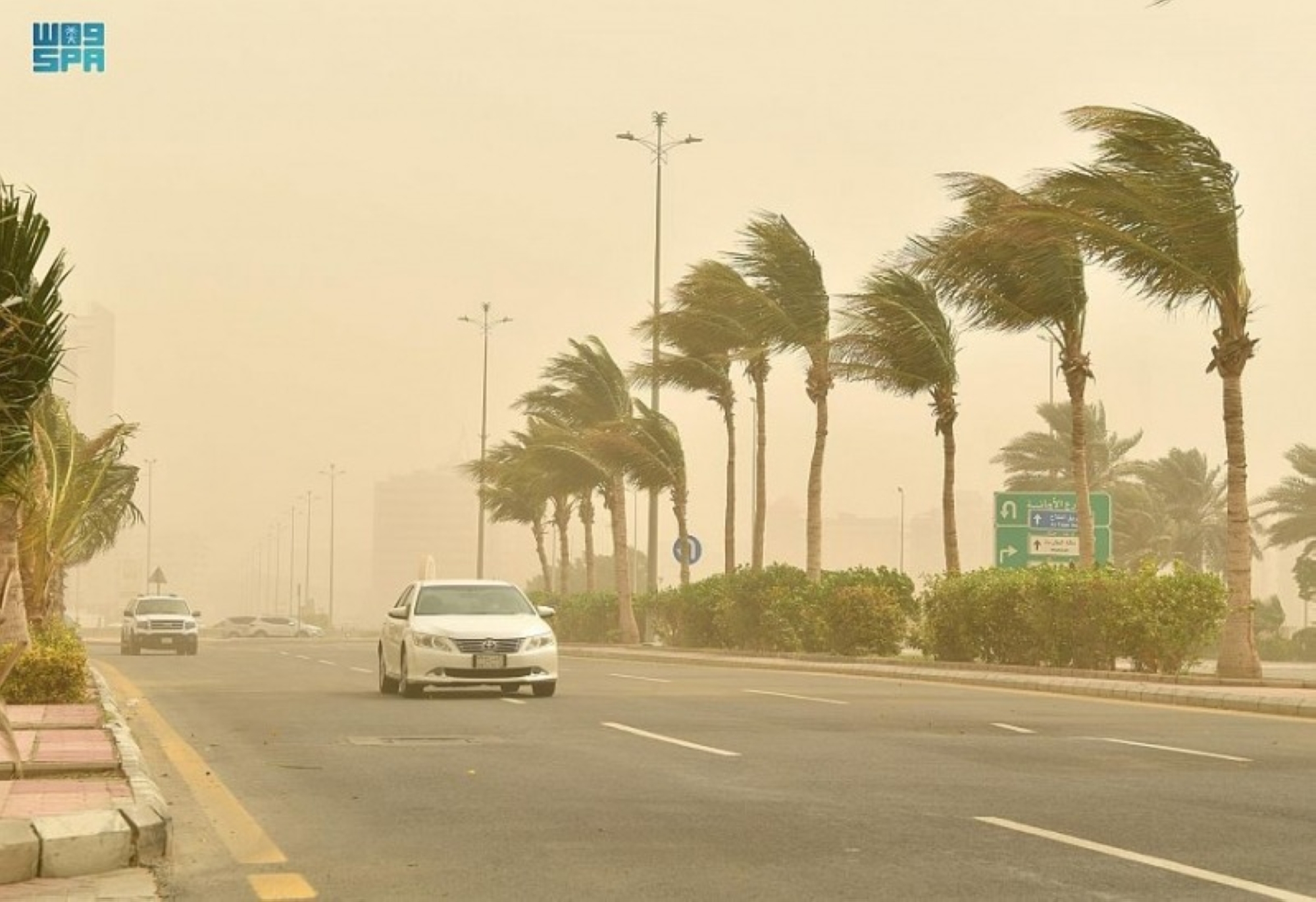 منها الرياض.. توقعات برياح نشطة على 8 مناطق