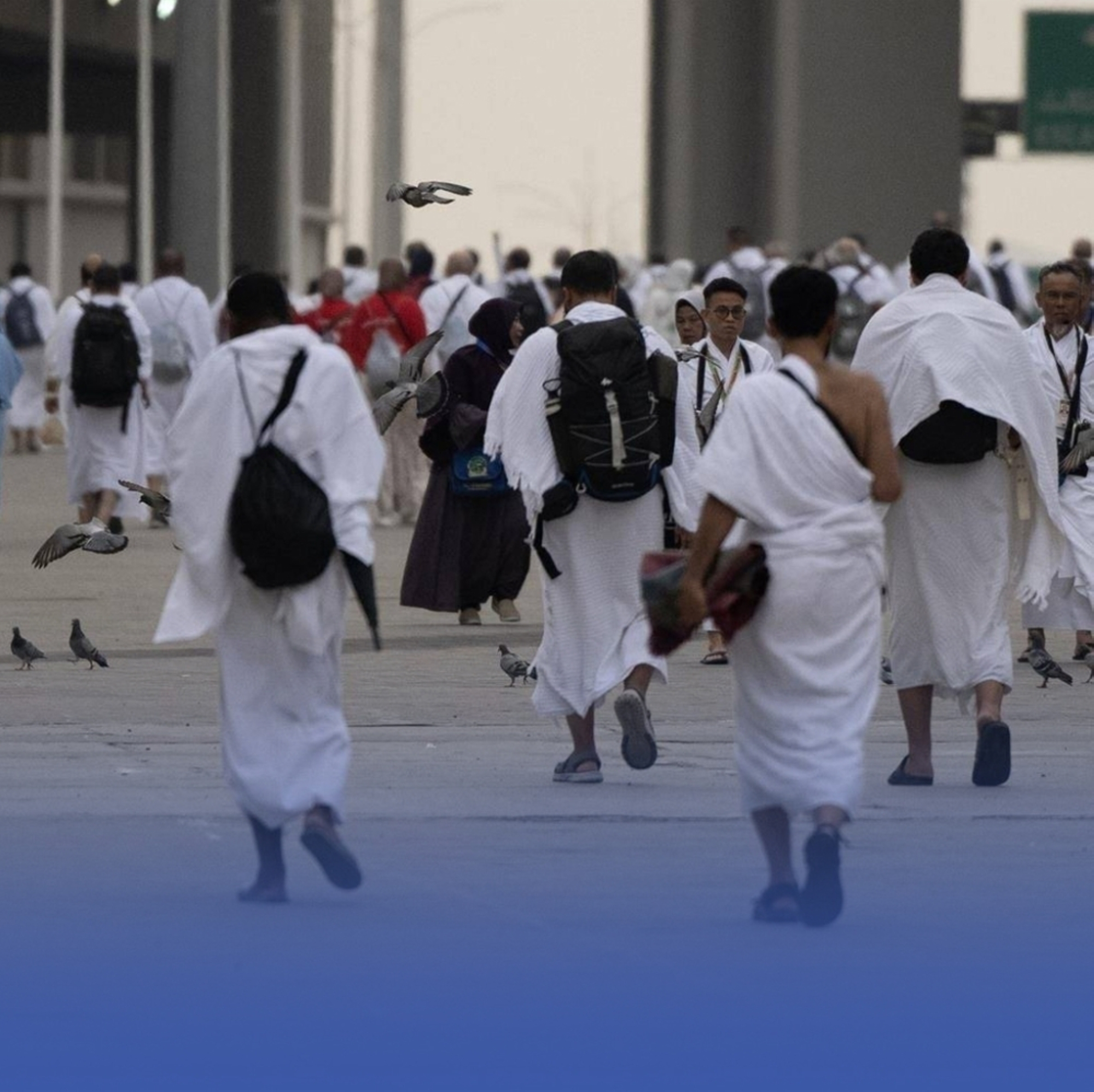 أعداد المعتمرين تتضاعف ومؤشر الرضا يقفز 94% في 2025
