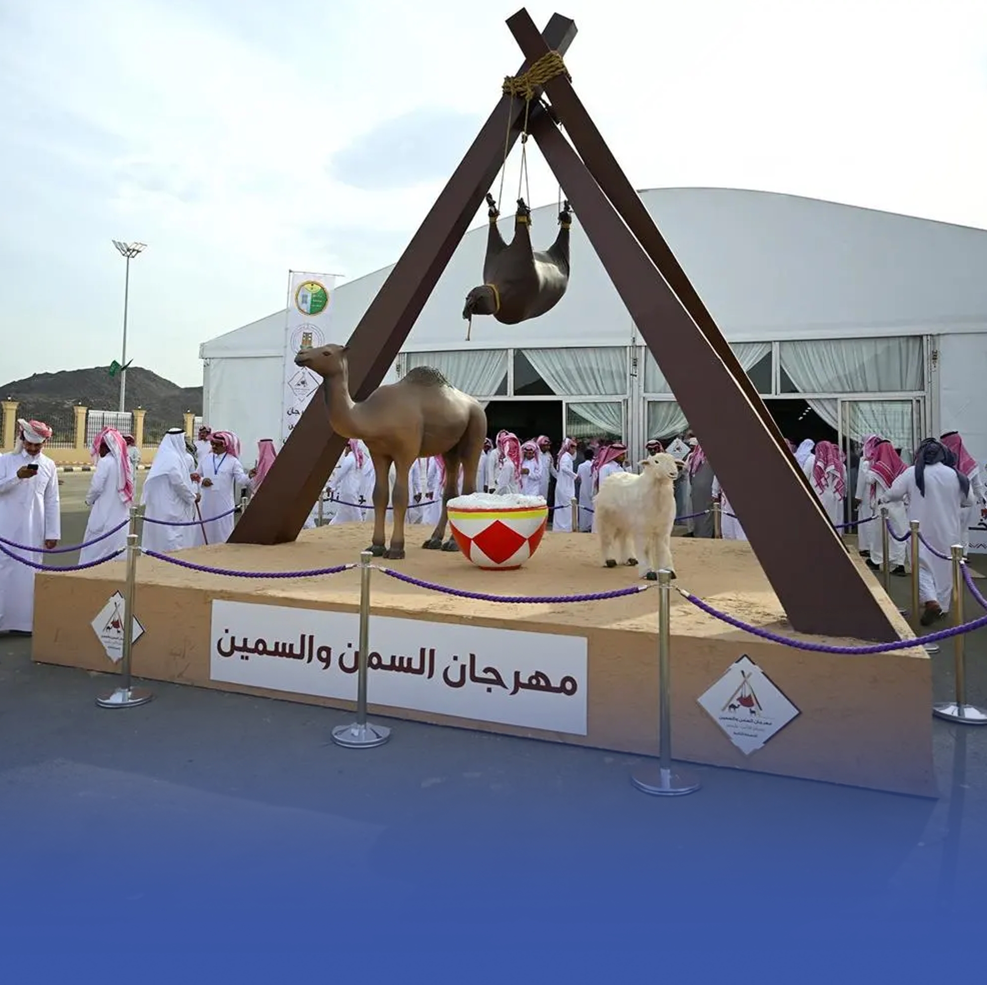 أجواء ريفية نابضة في مهرجان السمن والسمين بالقصيم