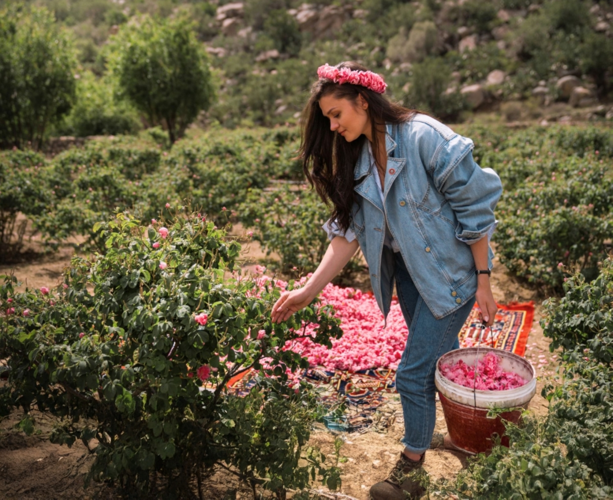 قطاع الورد في السعودية ينمو بأكثر من 15% سنويًا