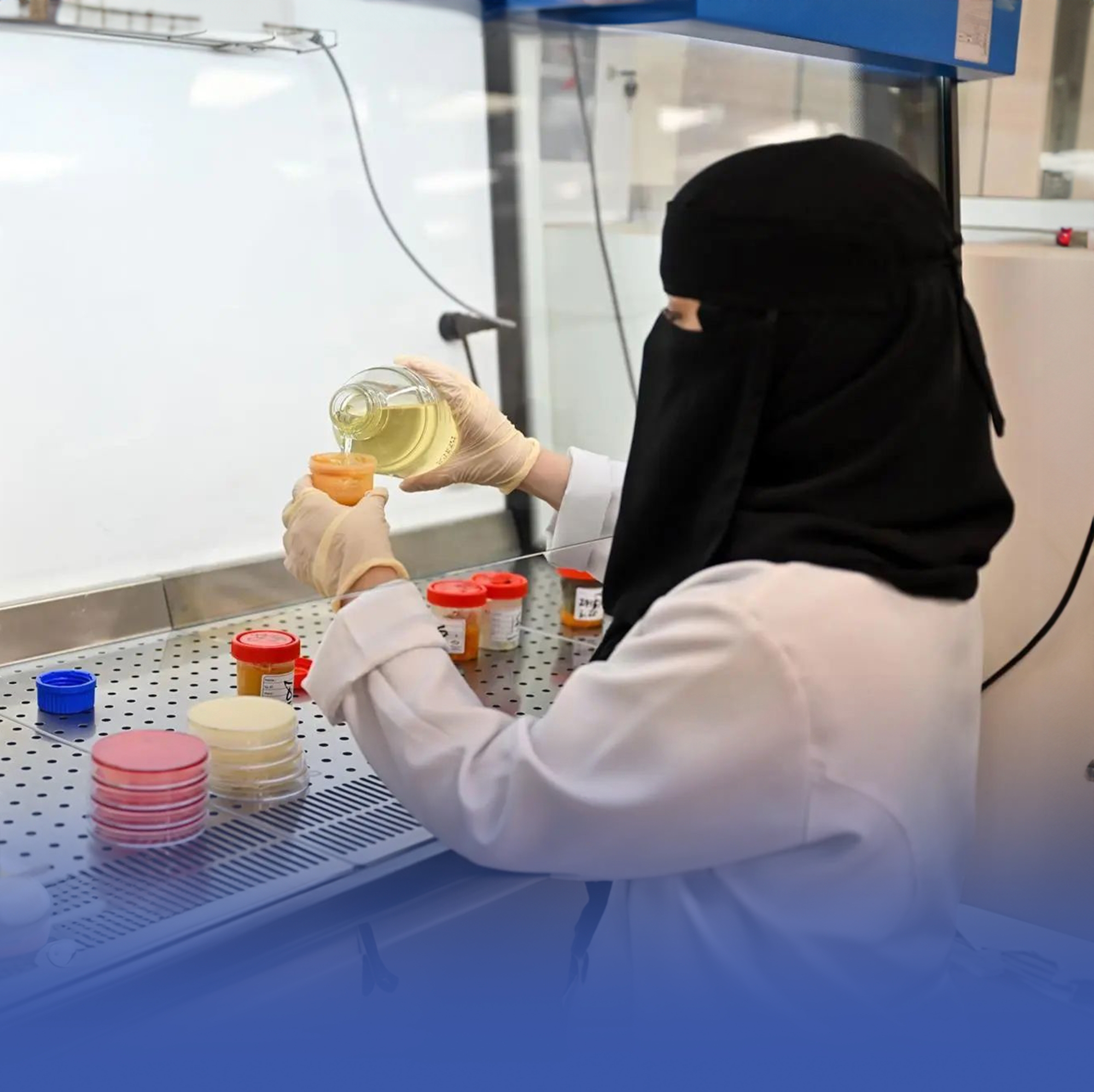 بدء إجراءات تخصيص مختبرات سلامة الأغذية في 5 أمانات