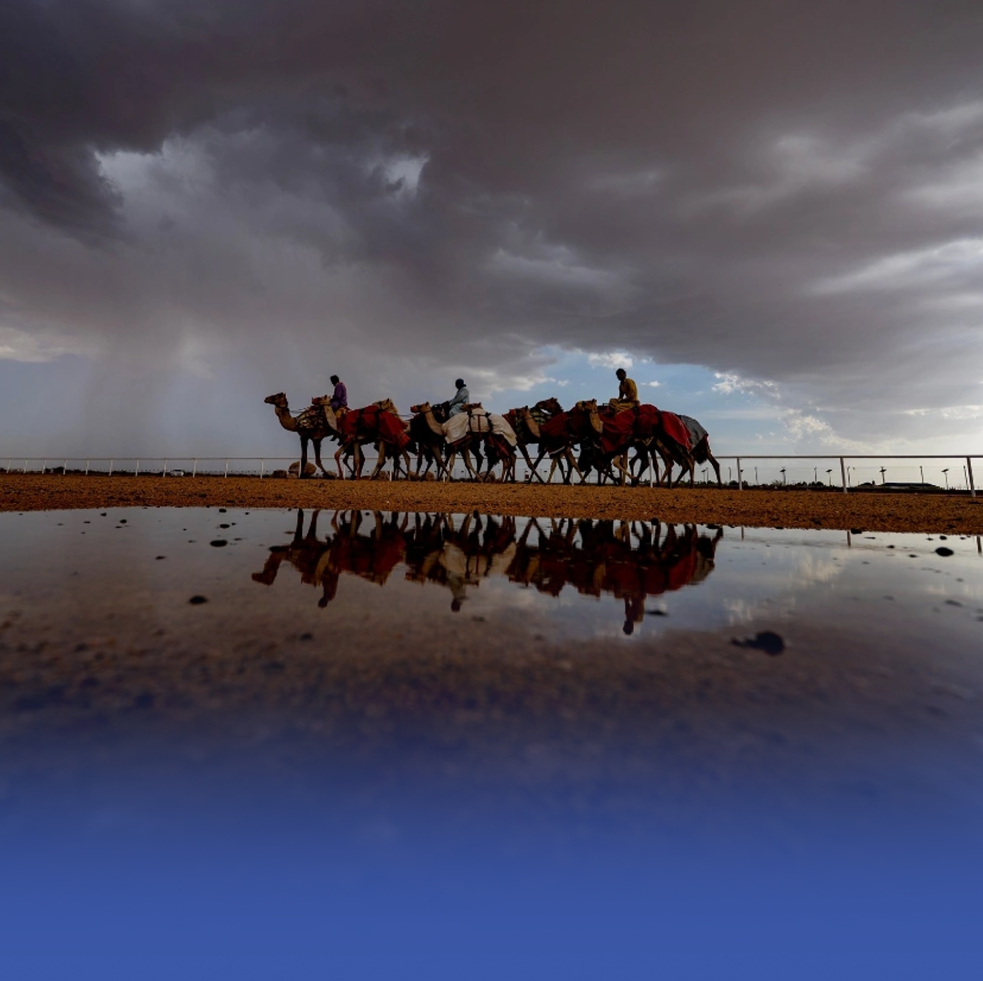 مطر الطائف يرسم لوحة ربيعية على الشمال