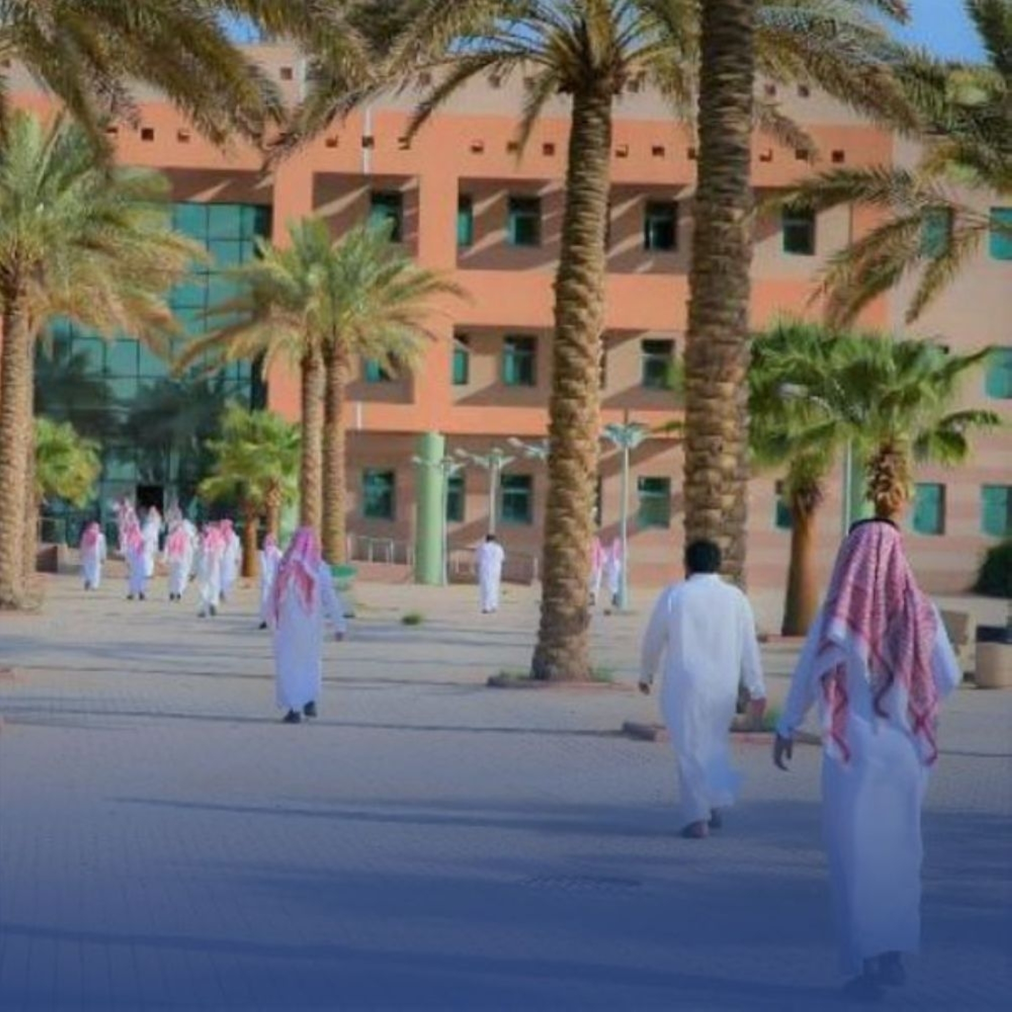 أكاديمي: وقف جامعة الملك سعود بعض البرامج "إعدام مؤسسيّ"