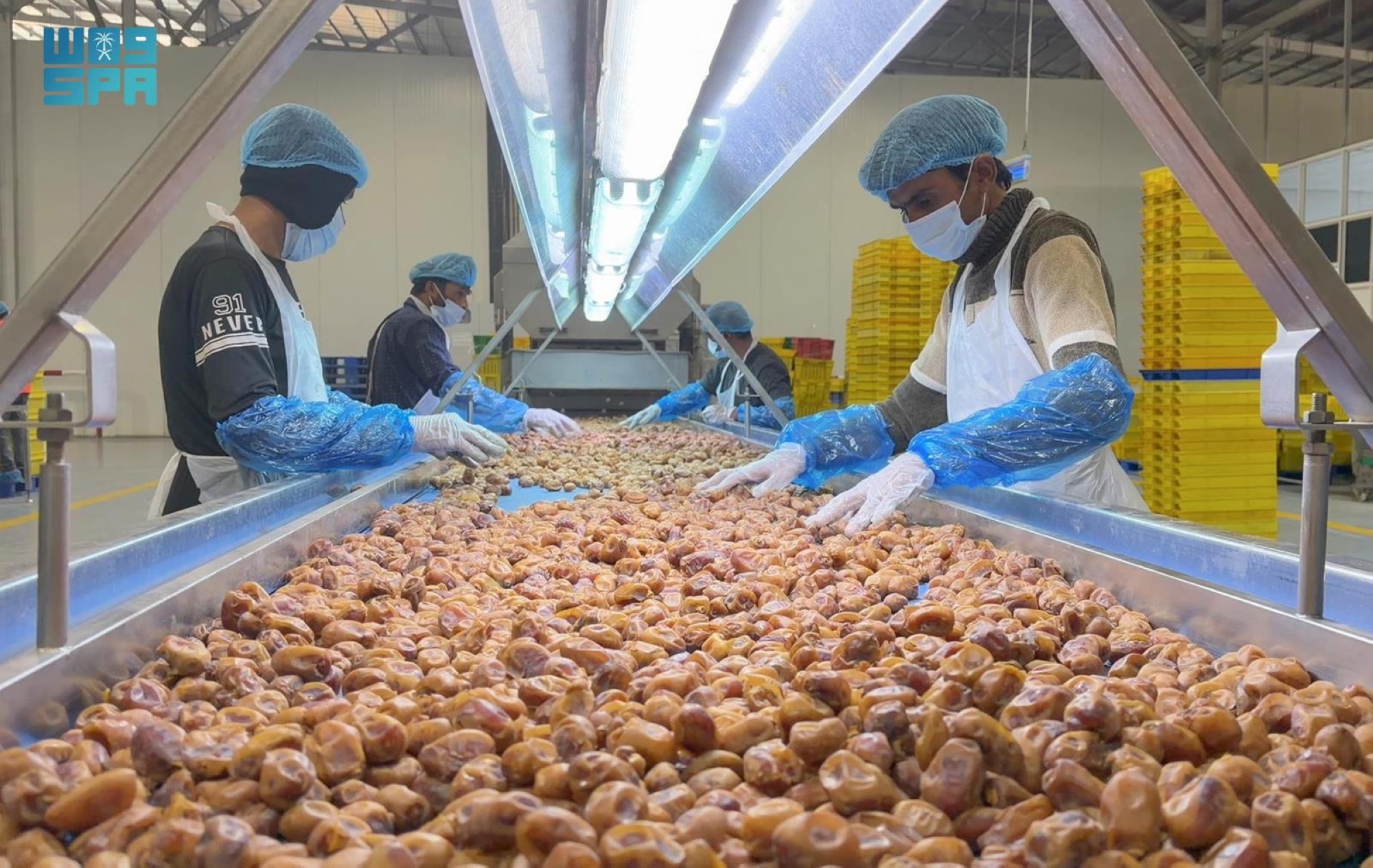 ارتفاع قيمة صادرات المملكة من التمور إلى الهند بنسبة 25%