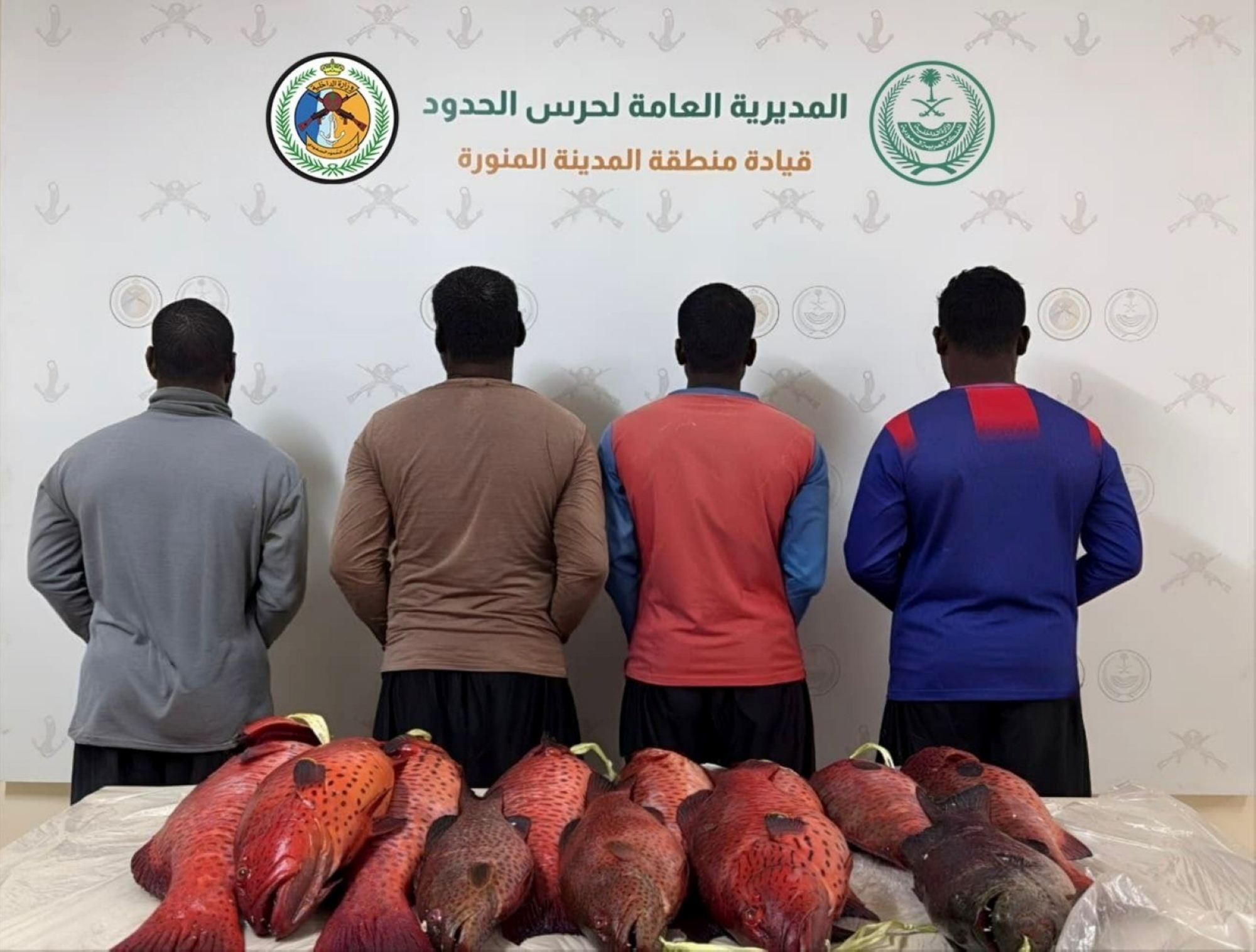 ضبط 4 مخالفين للصيد دون تصريح في ينبع