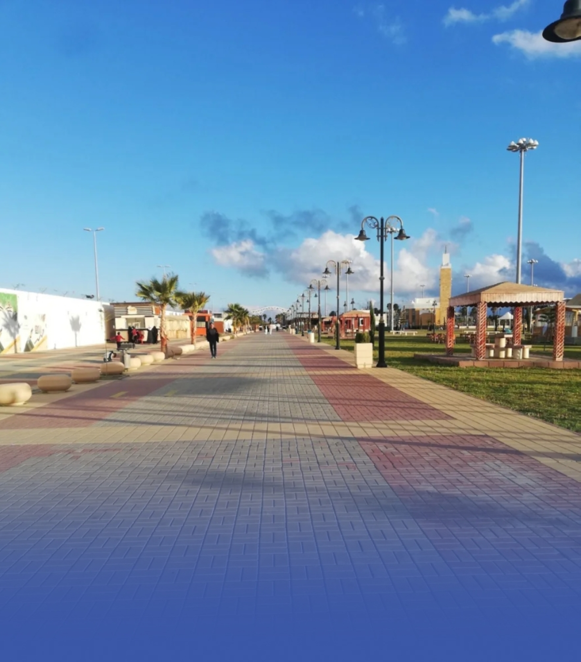 بدء إبداء الرغبات لمشروع إعادة تأهيل الحدائق العامة