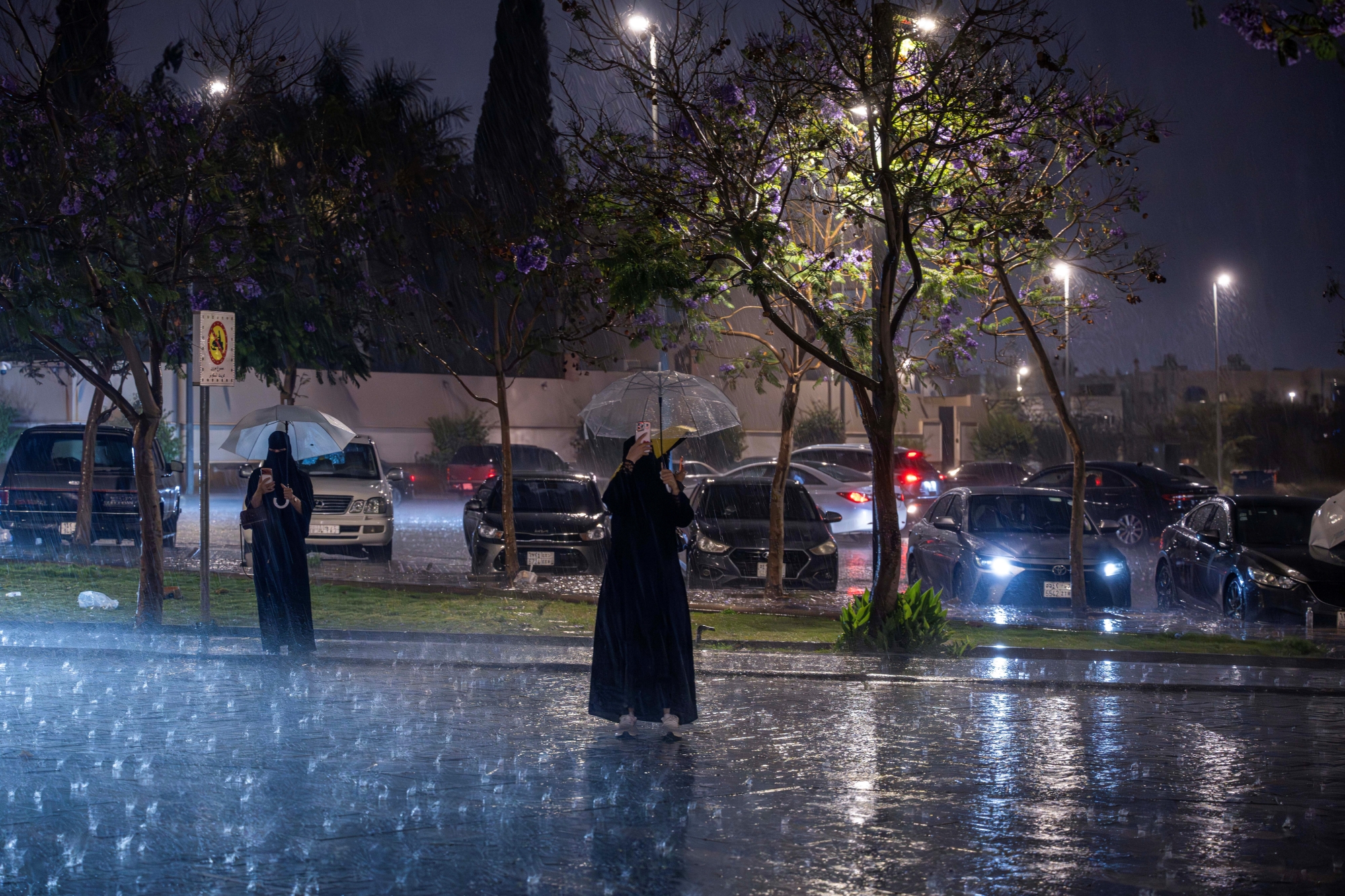 "النينو" قد تؤدي لزيادة هطول الأمطار بالخريف غرب المملكة