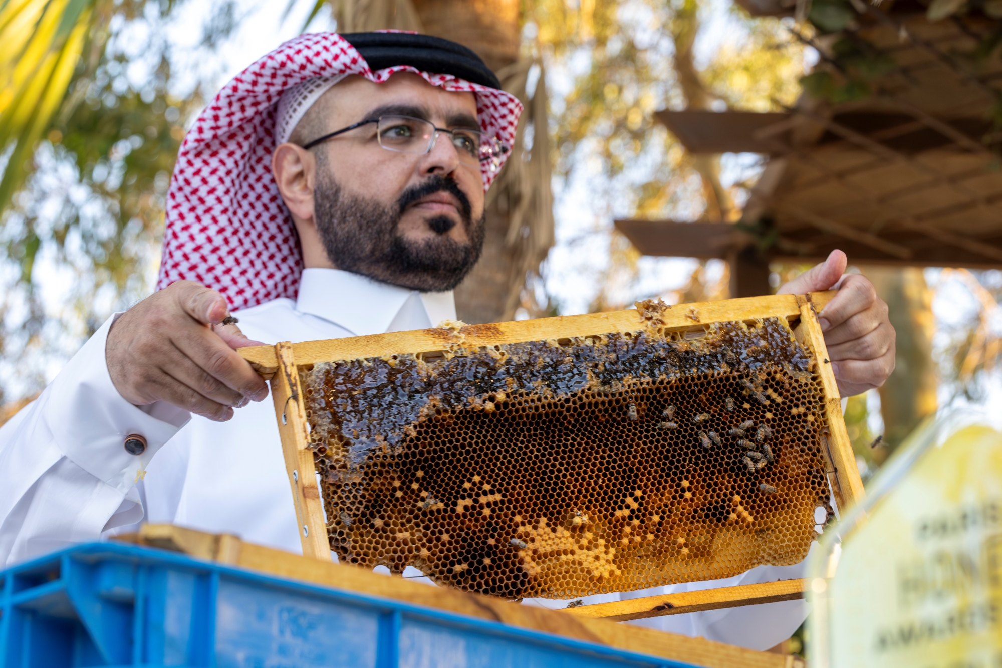 التنوع البيئي في الجوف يدعم إنتاج أعسال عالية الجودة