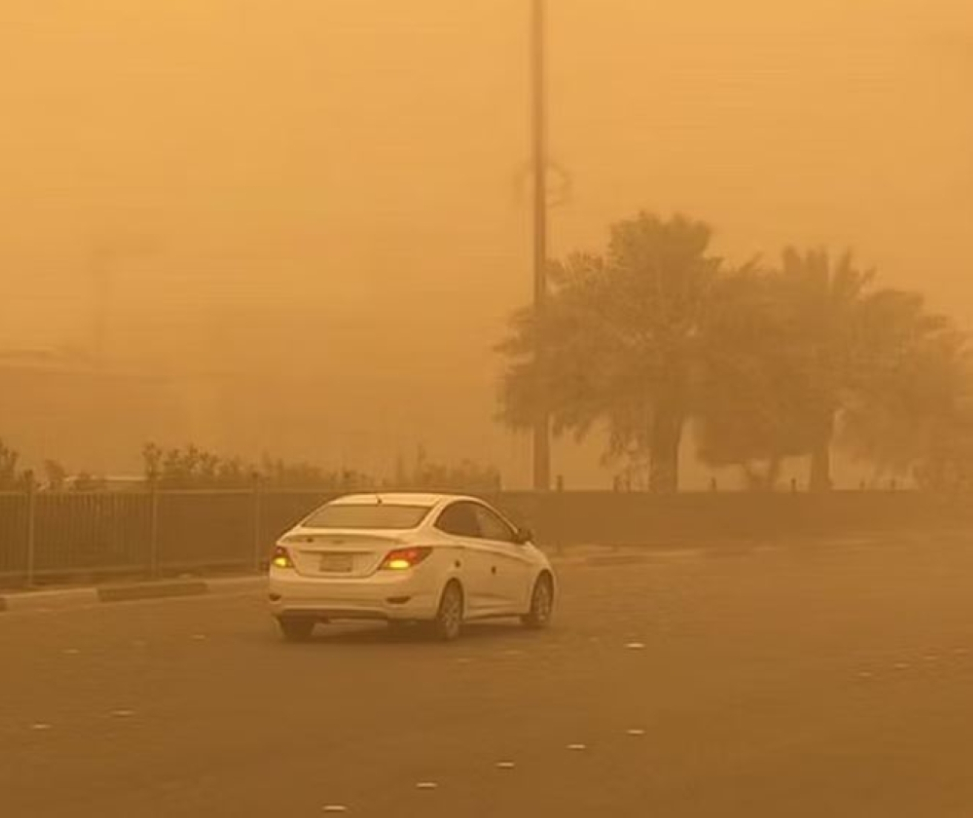 منها الرياض.. توقعات برياح نشطة على 7 مناطق