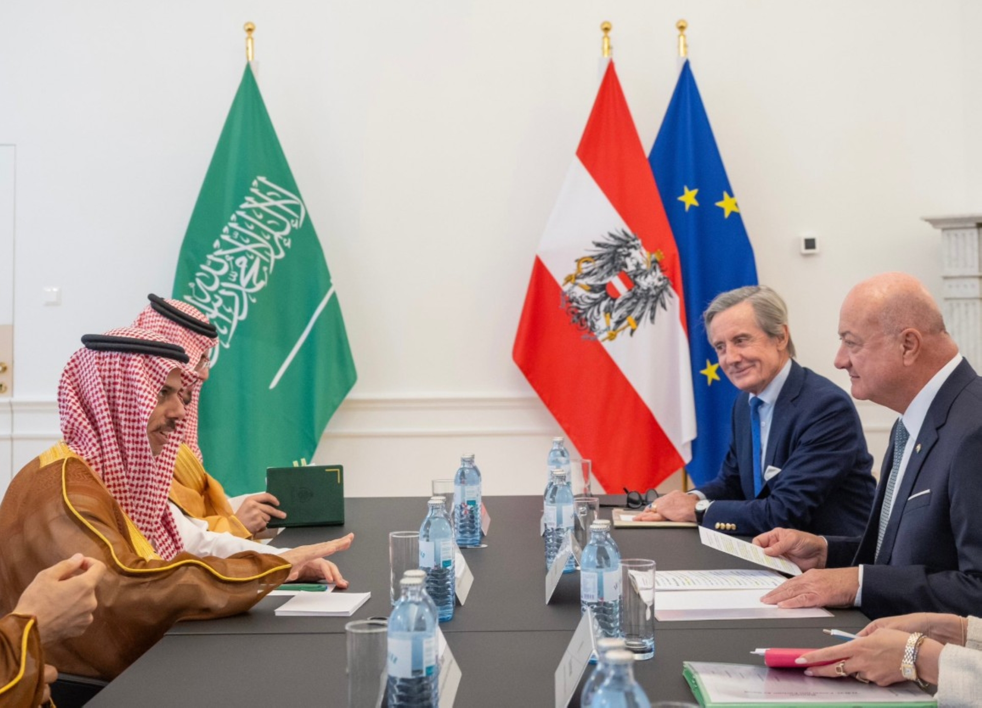 وزير الخارجية يبحث مع مستشار النمسا القضايا الإقليمية والدولية
