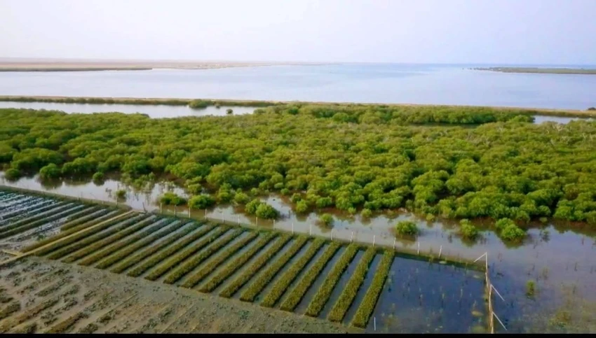 طرح فرصة استثمارية لتطوير منتزه وادي حلي بمكة