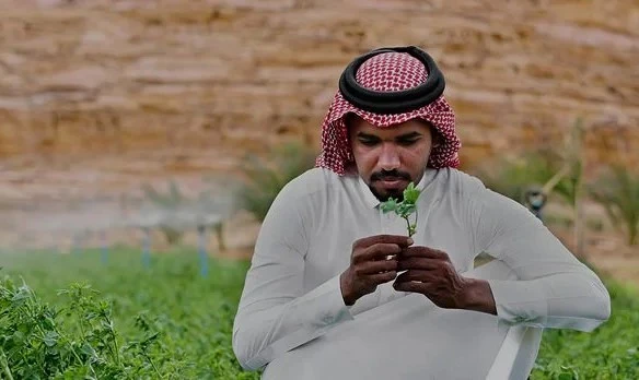 المملكة تدشن منصة "أجندة الرياض" لتعزيز الشراكات البيئية