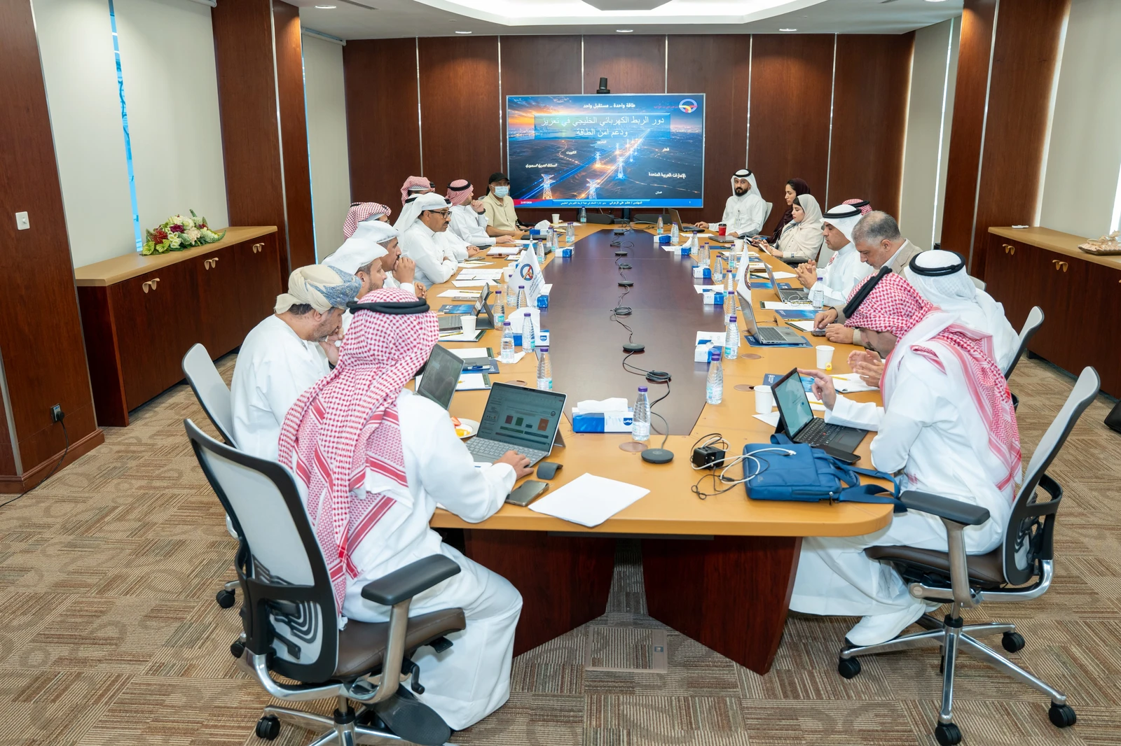 "التعاون الخليجي" يبحث تعزيز الربط الكهربائي لضمان أمن واستدامة الطاقة