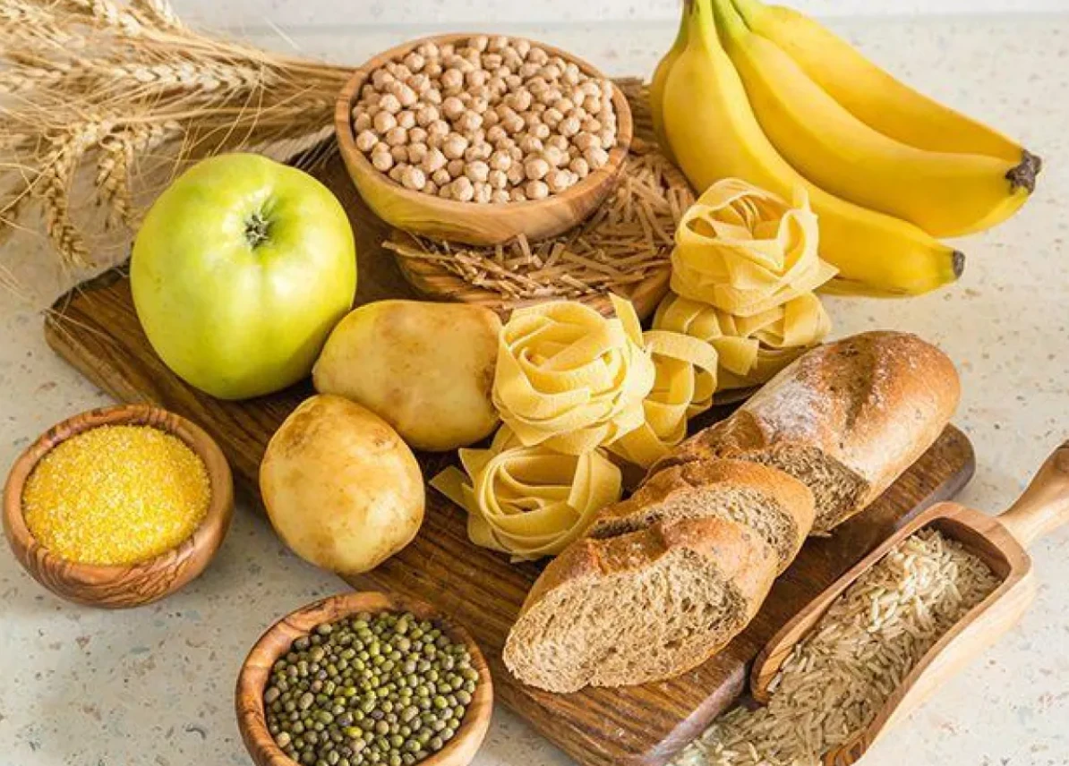 دراسة تكشف دور الكربوهيدرات في تطور الدماغ