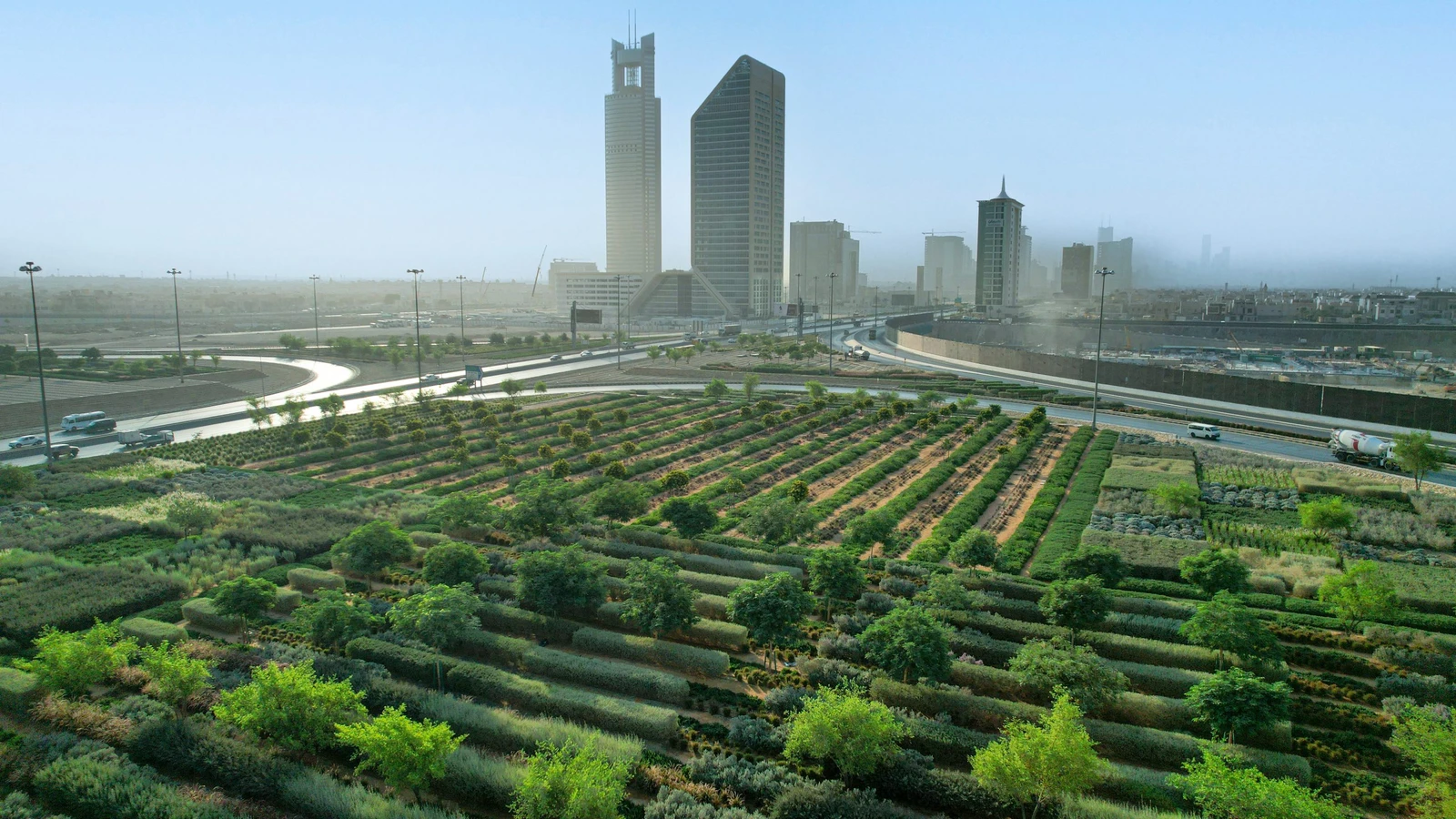"الرياض الخضراء" يواصل تشجير العاصمة بأنواع مستدامة