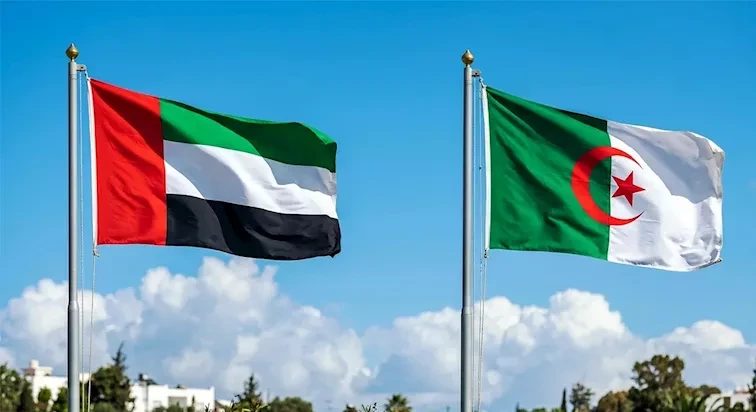 الإمارات تدعو الجزائر لمراجعة قرار قطع العلاقات