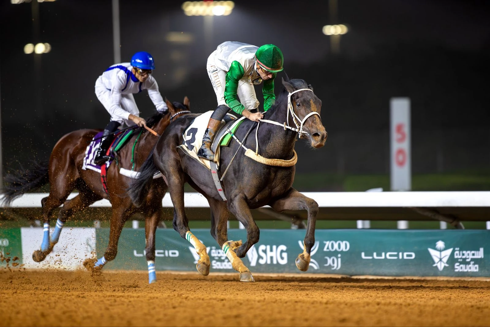 كأس الأمير عبدالله الفيصل للخيل العربية الأصيلة.. ضمن سباقات الفئة الثالثة دوليًا