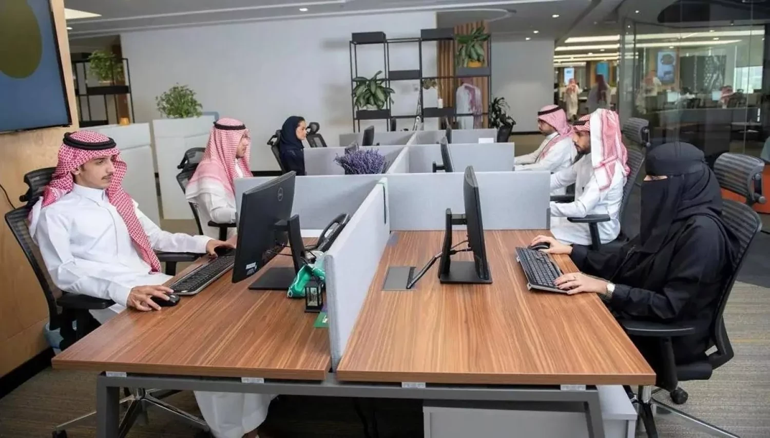 يجوز للشركة توزيع أرباح مرحلية على مساهميها