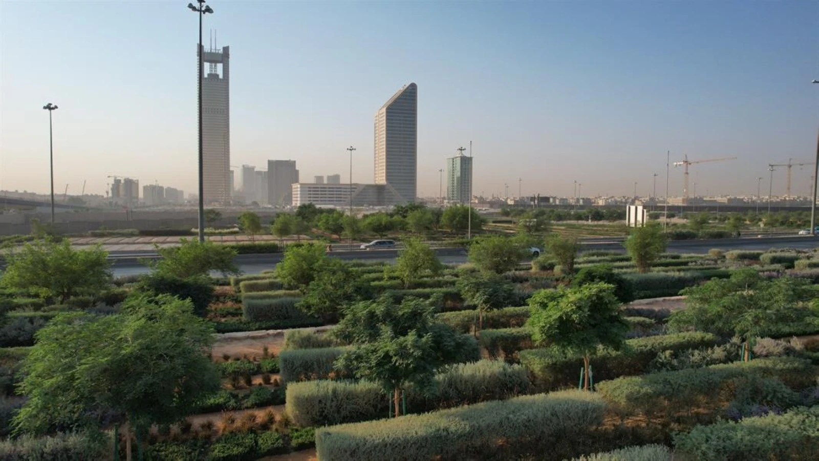 تجسد التبرعات الوعي البيئي وروح المشاركة المجتمعية في دعم مبادرات الاستدامة ومكافحة التصحر