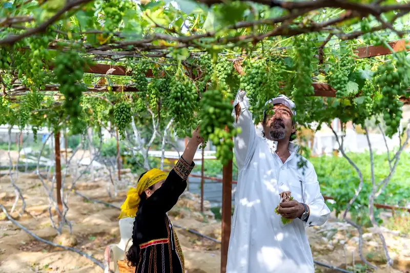 124 مليار ريال مساهمة القطاع الزراعي في الناتج المحلي