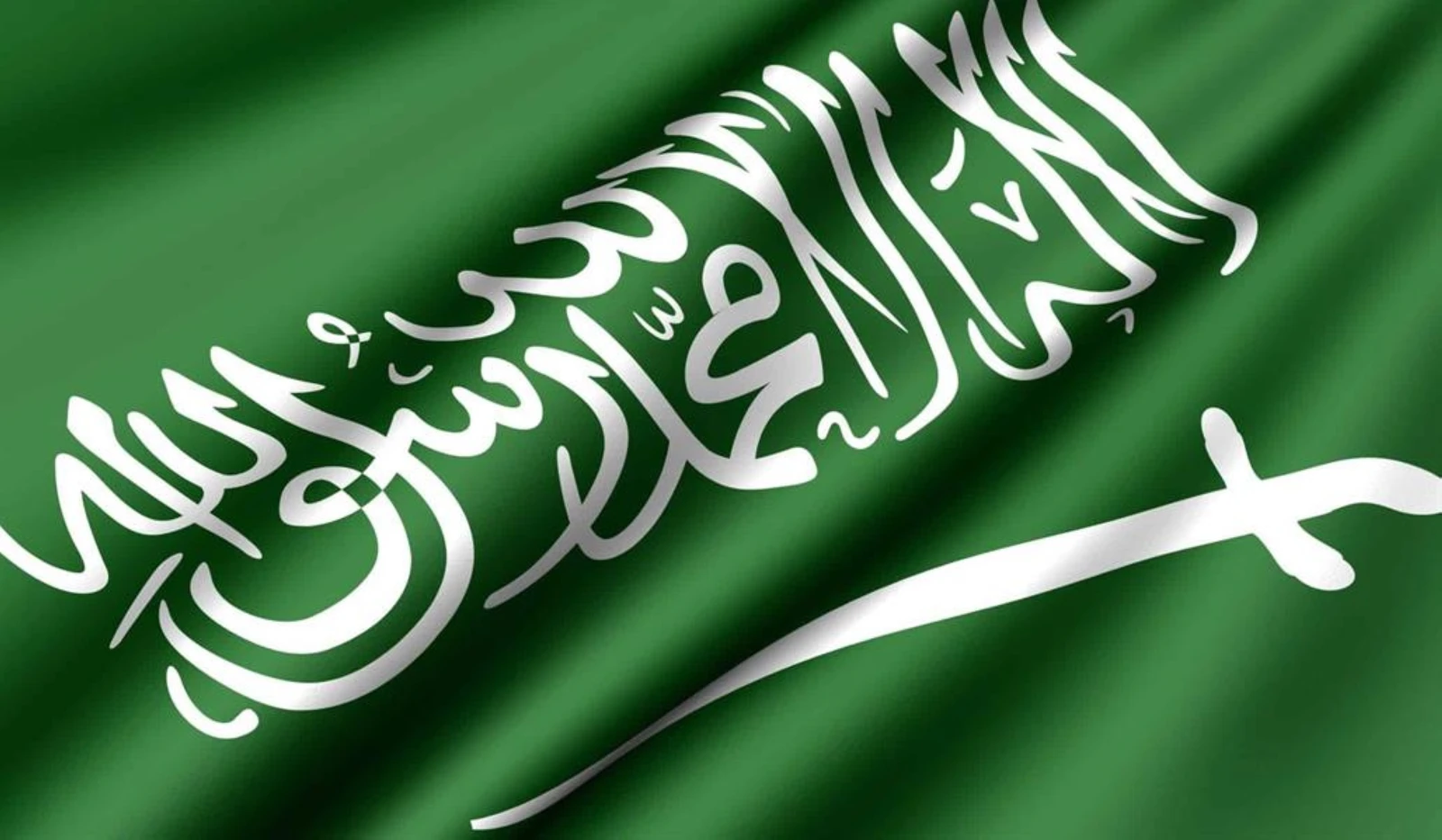 المملكة و7 دول عربية وإسلامية تدين بشدة تصريحات وزيرين إسرائيليين بشأن تهجير الفلسطينيين من غزة