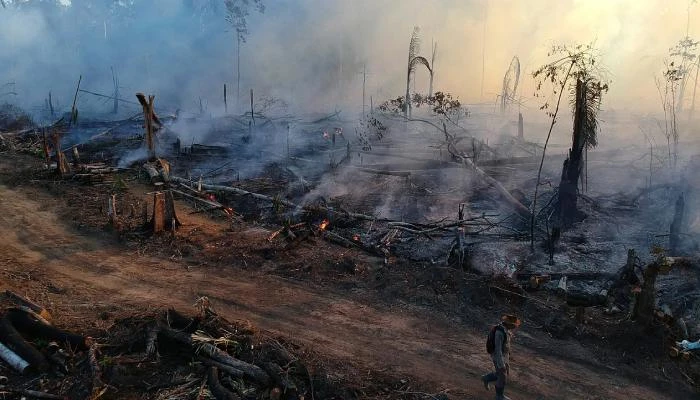 تراجع غير مسبوق في حرائق الأمازون منذ 40 عامًا