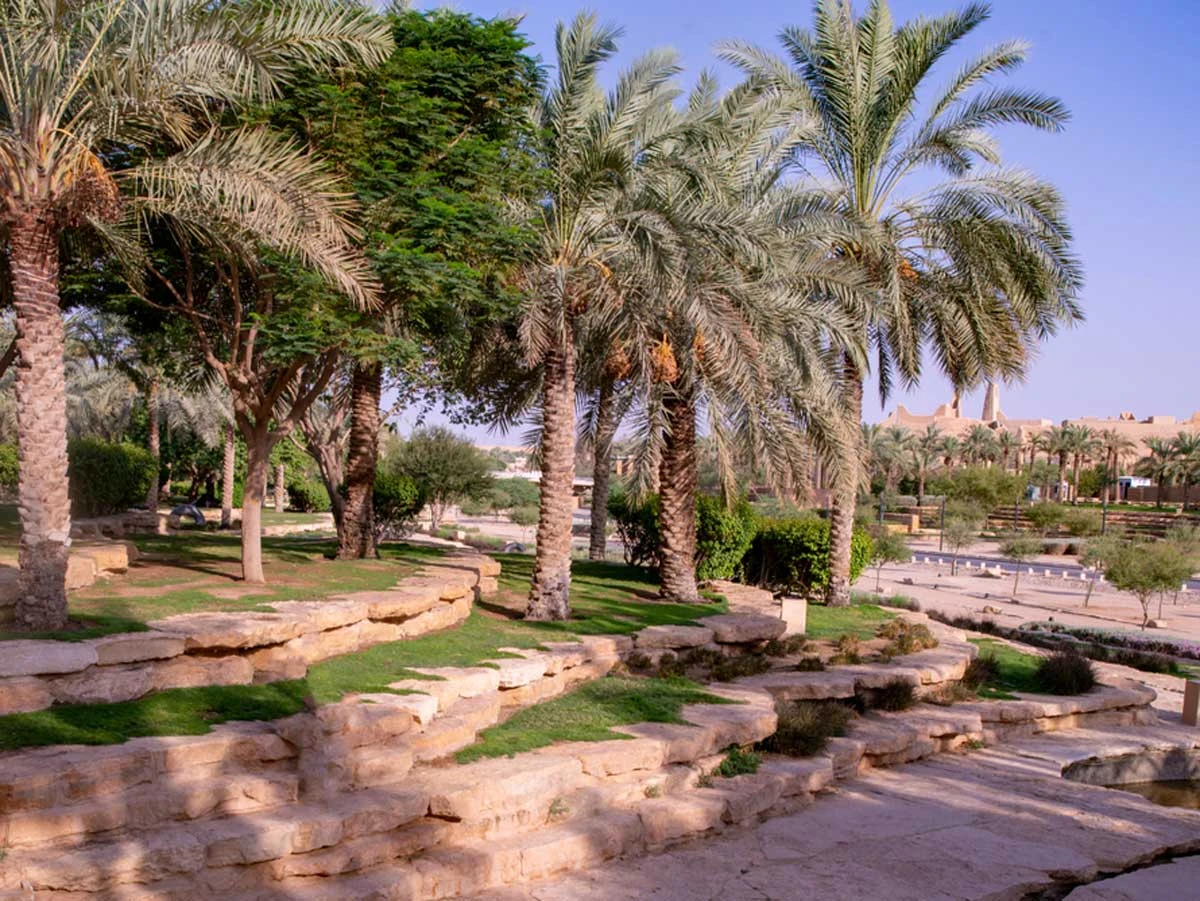 31 فرصة استثمارية في متنزهات الرياض