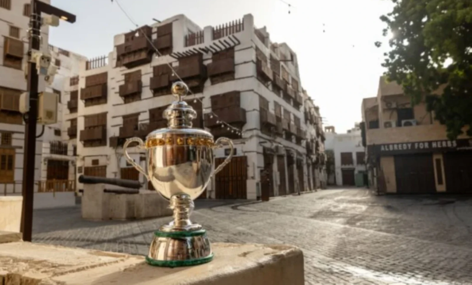 قبل ركلة البداية.. أرقام بارزة في دوري روشن
