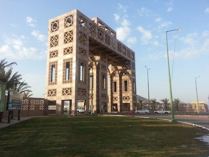 جامعة طيبة