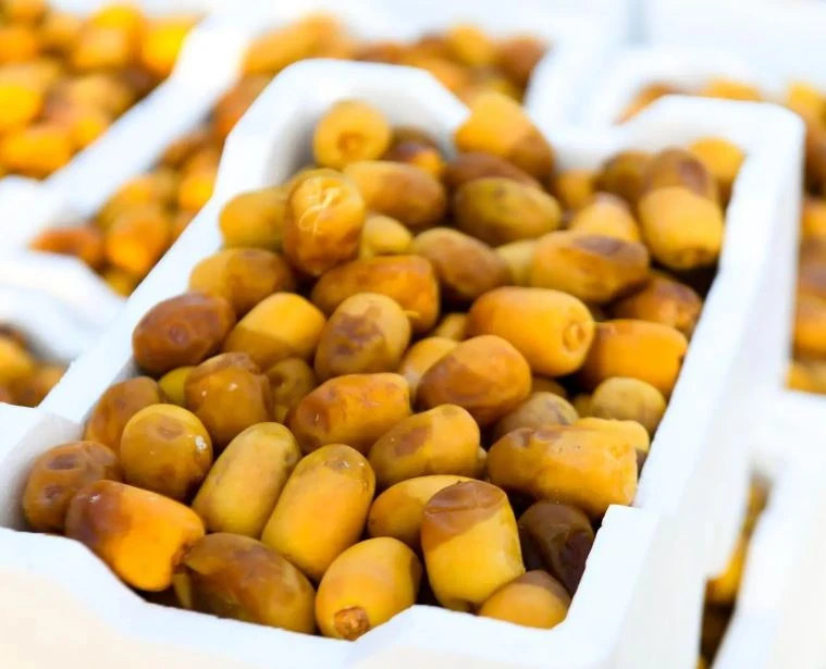 الروثانة في صدارة الطلب مع انطلاق موسم التمور
