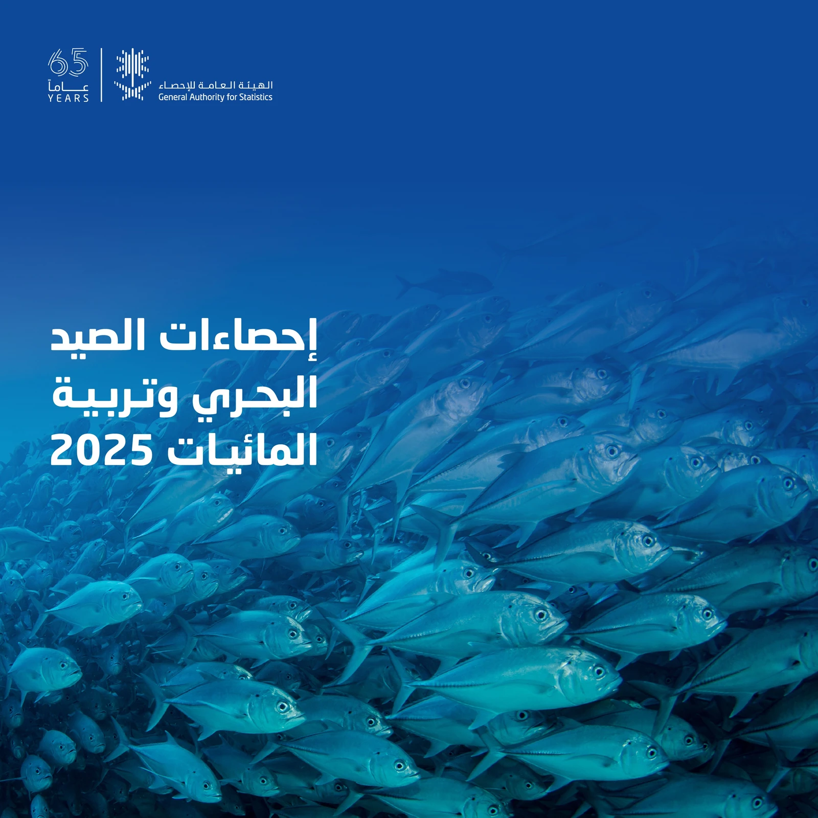 61.4 ألف طن إجمالي المصيد من الخليج العربي