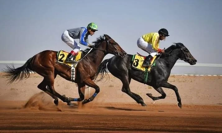 فروسية الباحة تعلن بدء التسجيل في برنامج السباقات الموسمية