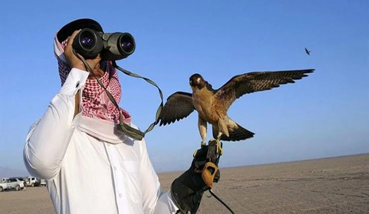 إجمالي تراخيص الصيد الصادرة في المملكة منذ عام 2020 وحتى النصف الأول من عام 2026 نحو 84,585 