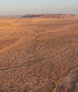 وادي الغضا بتبوك.. معبر القوافل وملهم الشعراء