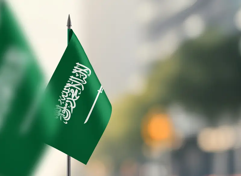 المملكة تفوز بأرفع جائزة للأمم المتحدة للخدمة العامة 2026