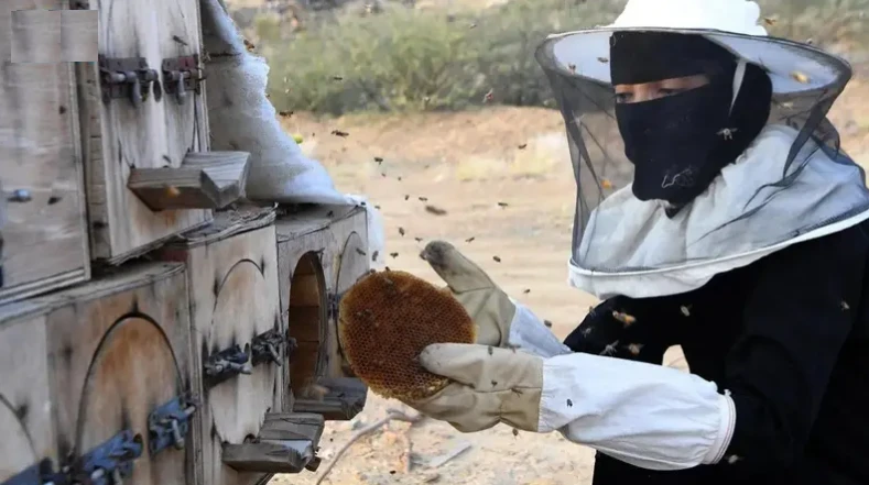 يواصل برنامج "ريف السعودية" دعم صغار المنتجين