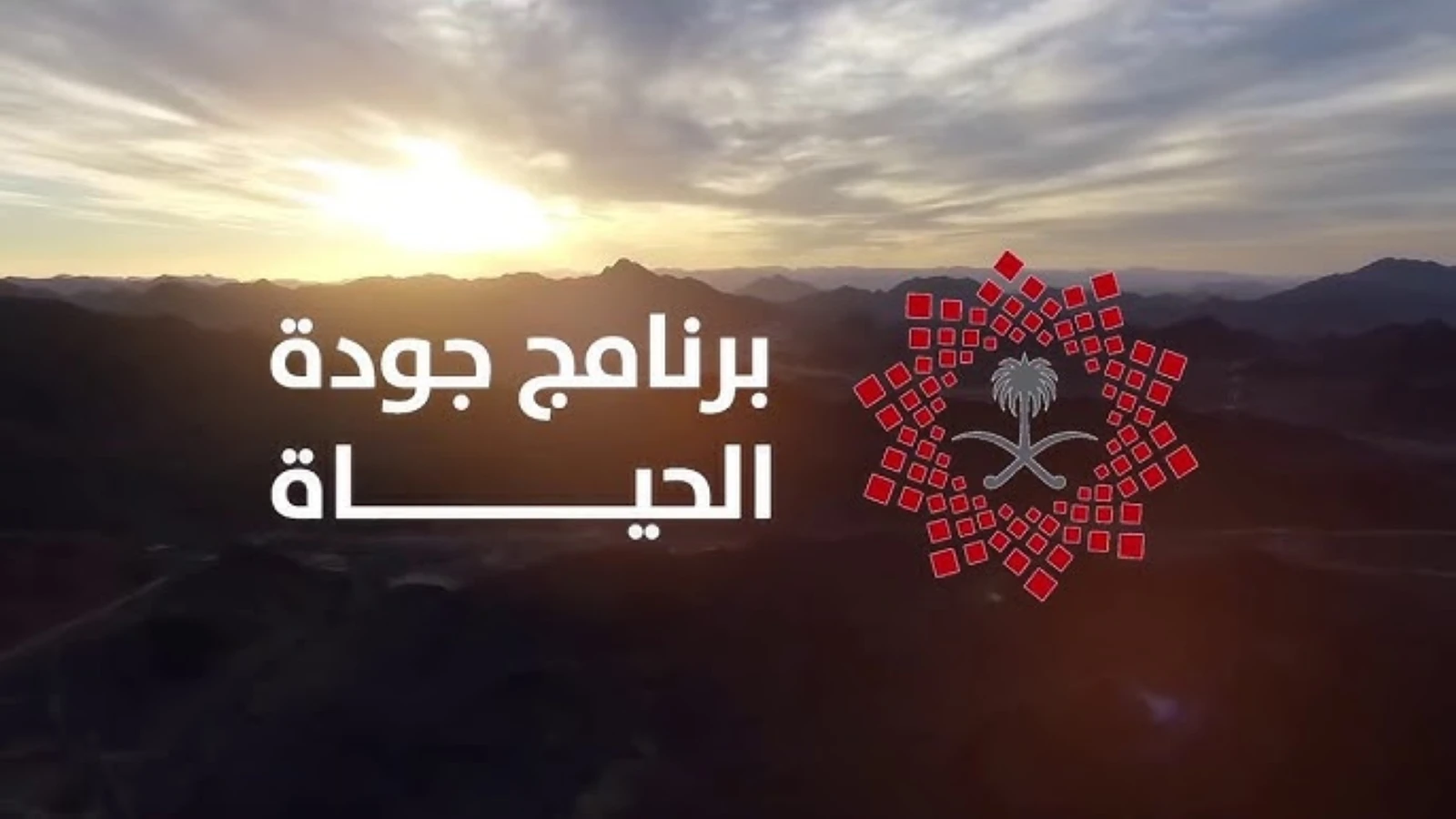 برنامج جودة الحياة 2025.. إنجازات استثنائية تتجاوز المستهدفات