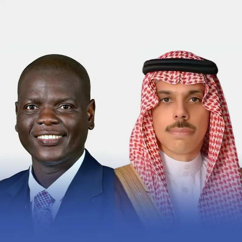 وزير الخارجية يبحث مع نظيره بجنوب أفريقيا مستجدات الأوضاع