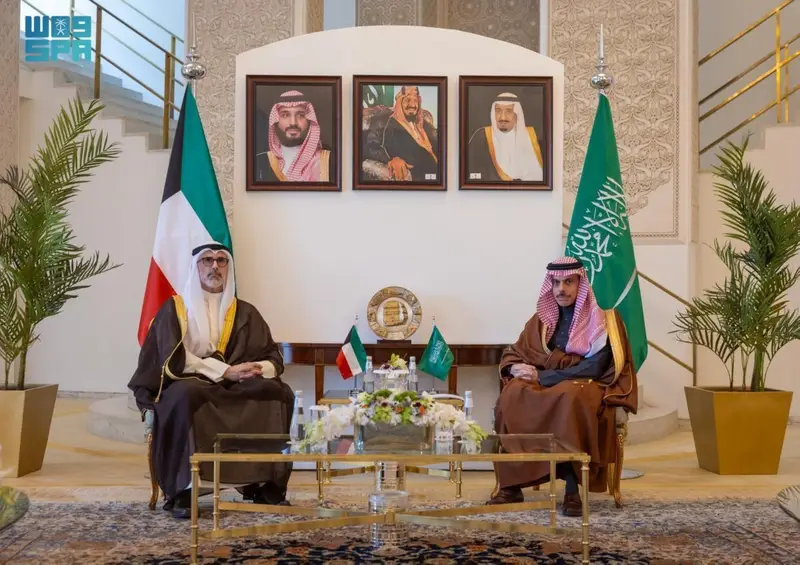 وزير الخارجية يناقش مع نظيره الكويتي أوضاع المنطقة