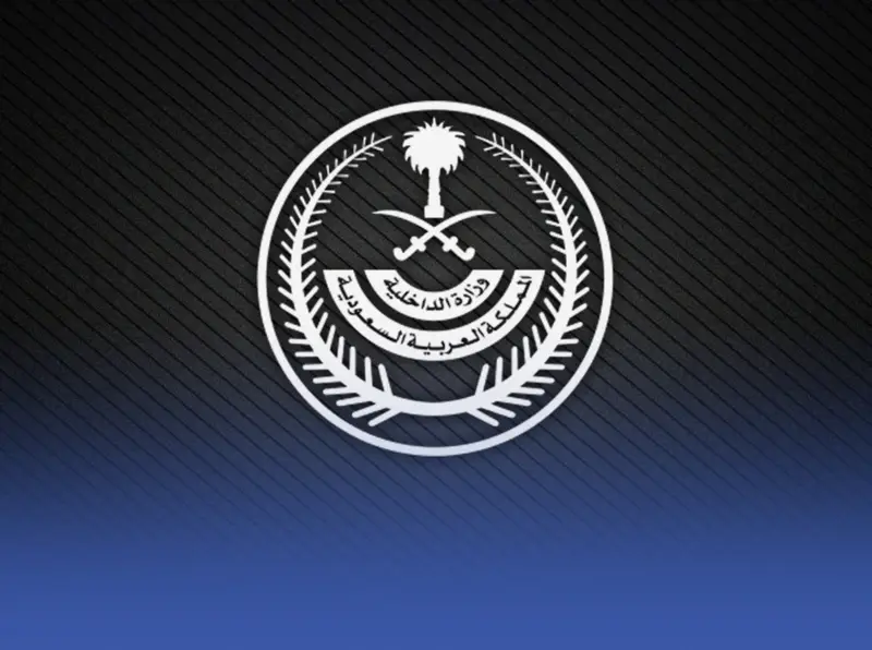"الداخلية" تعاقب 7 أشخاص لنقلهم 13 مخالفًا بلا تصاريح