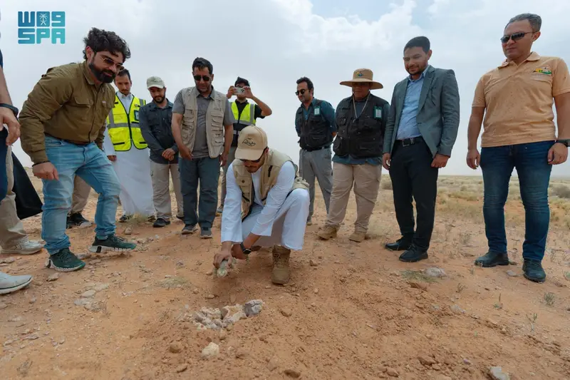 إطلاق 80 ضبًّا بمحمية الإمام عبدالعزيز